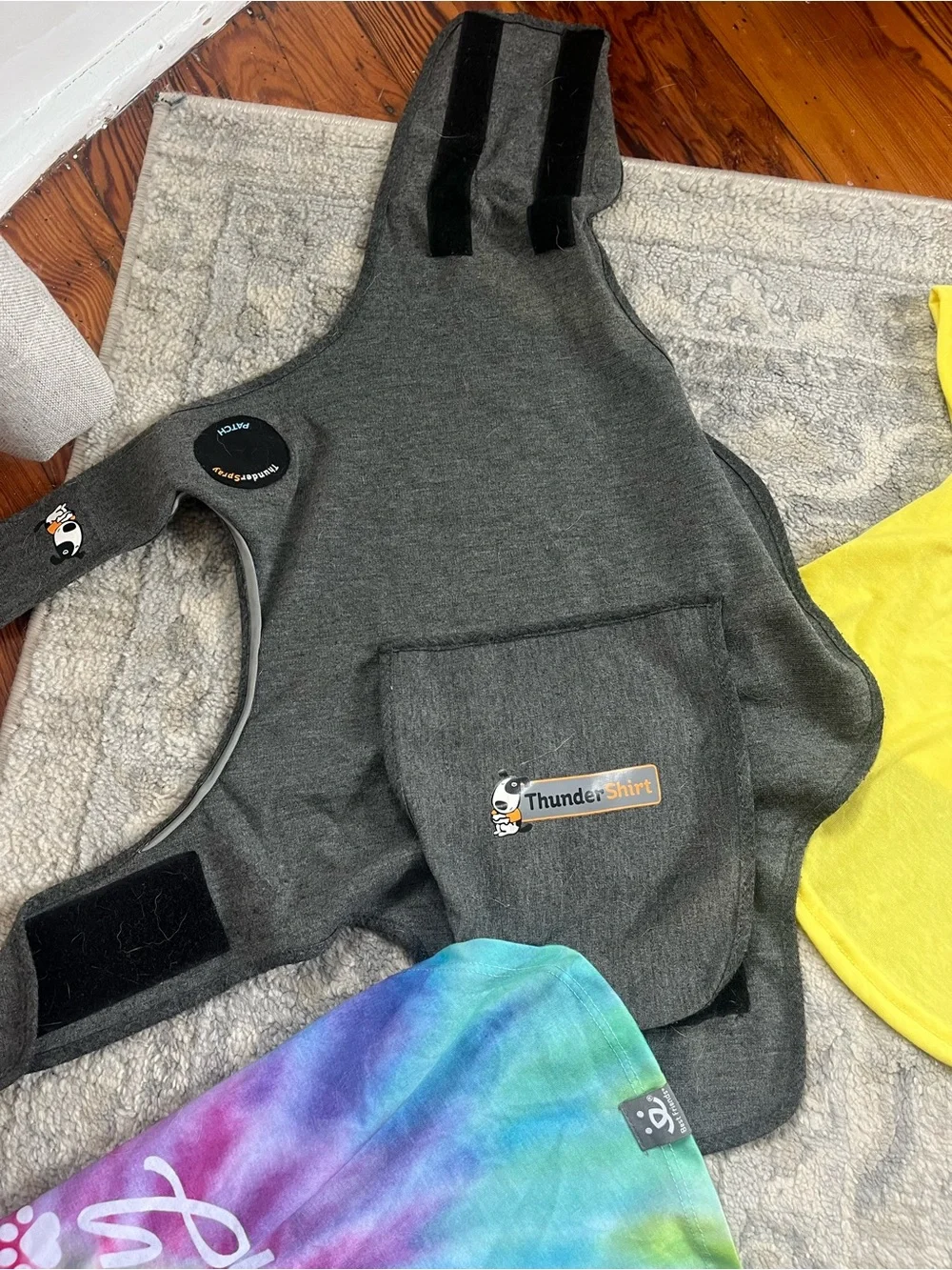 Bundle of medium sized dog clothes